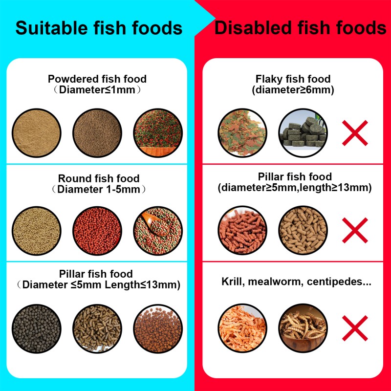 Fish Feeder Camera Manufacturer - 4MP Wifi Cloud Storage