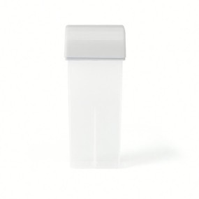 Empty Cartridge Supplier - 100ml Plastic Customize Easy Take Out Roll on