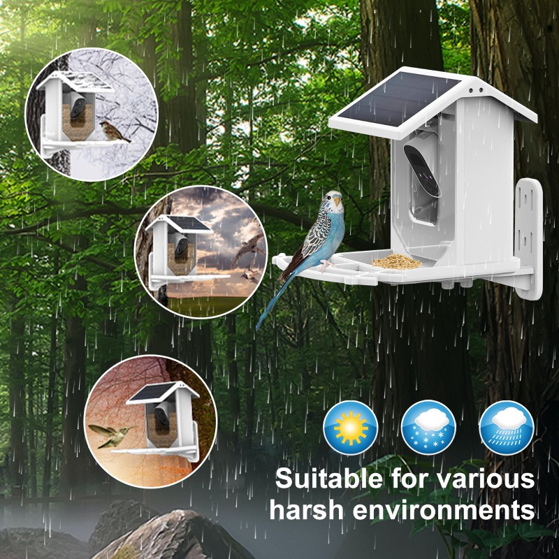 Bird Feeder Manufacturer - Smart Camera Real-time Watching