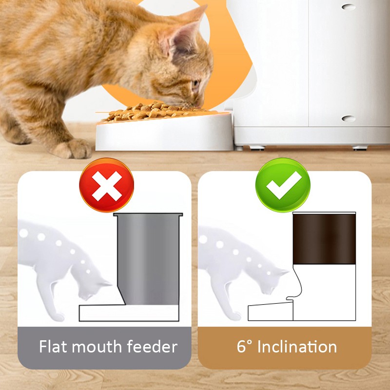 Pet Feeder Manufacturer - 6L Timed Automatic WiFi Camera