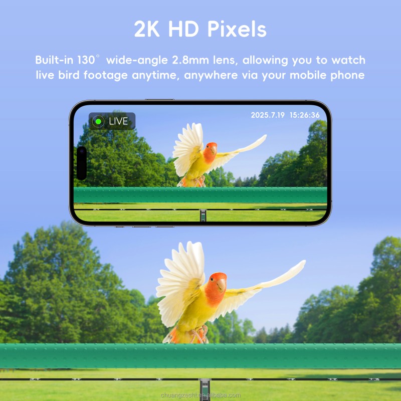 Bird Feeder Manufacturer - Acrylic Built-in WiFi Camera