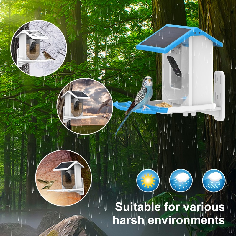Solar Bird Feeder Manufacturer - 5MP HD Auto Squirrel