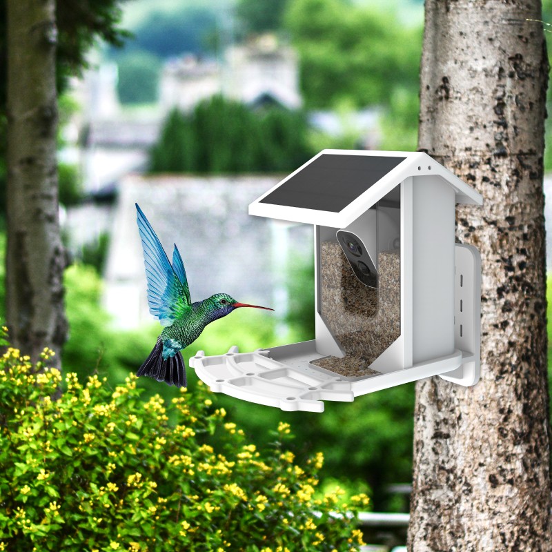 Bird Feeder Manufacturer - Smart Camera Real-time Watching