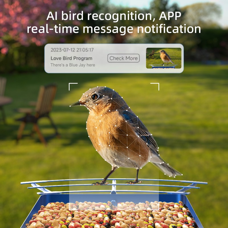 Metal Bird Feeder Manufacturer - Iron Shell AI Identification