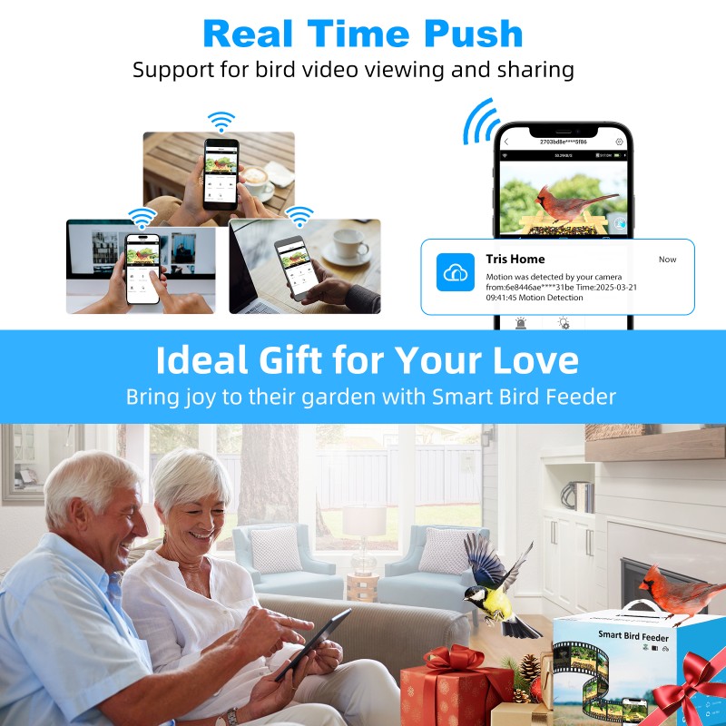 Bird Feeder Manufacturer - 5MP HD AI Species Recognition