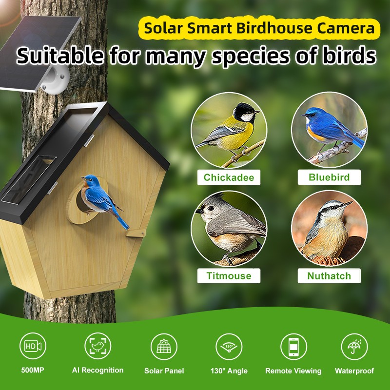 Smart Birdhouse Manufacturer - 5MP WiFi Solar IP66