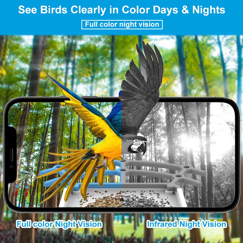 Smart Bird Feeder Manufacturer - 5MP Ultra HD Night