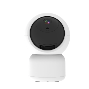 PTZ Camera Manufacturer - 3MP Tuya Motion Detection