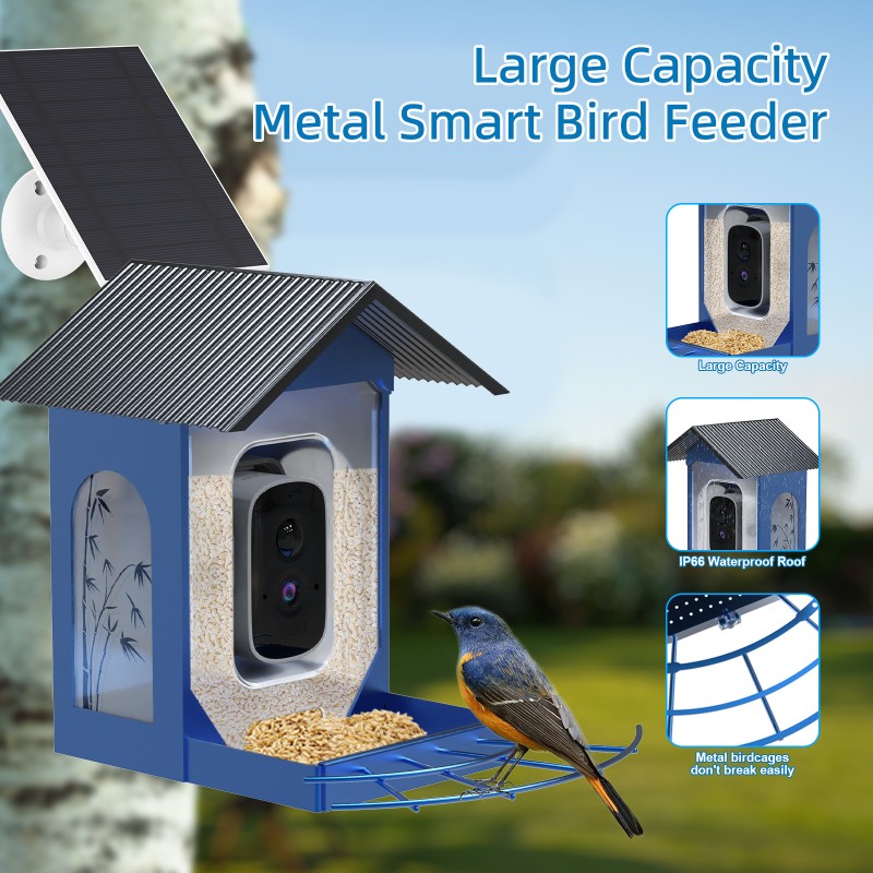 Metal Bird Feeder Manufacturer - Iron Shell AI Identification