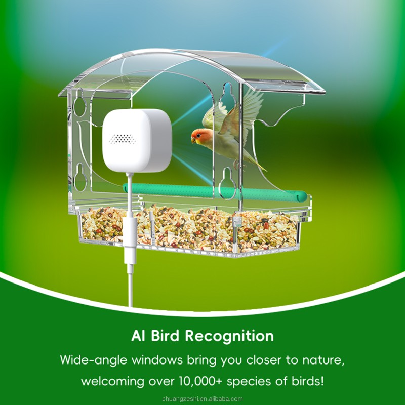 Bird Feeder Manufacturer - Acrylic Built-in WiFi Camera