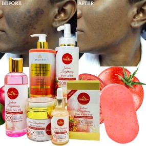 OEM Wholesale Arbutin Organic Skin Whitening Remove Dark Spot Tomato Skin Care Products Vegan Arbutin Skin Care Set for Women