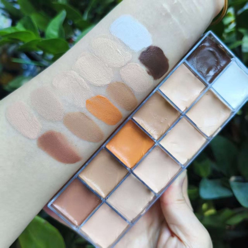 Concealer Palette Manufacturer - Customizable 12 Color Cream Concealer for Wholesale