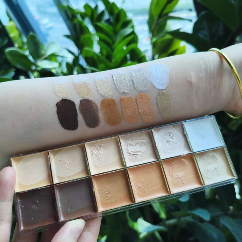 Concealer Palette Supplier - Custom Vegan Face Cream Concealer Palettes Private Label