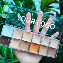 Concealer Palette Manufacturer - Customizable 12 Color Cream Concealer for Wholesale