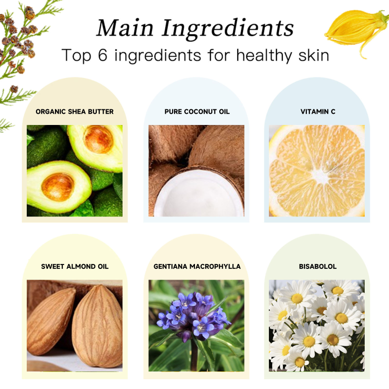 Body Butter Manufacturer - Wholesale Vegan Based Organic Shea Lotion Cream Rainbow