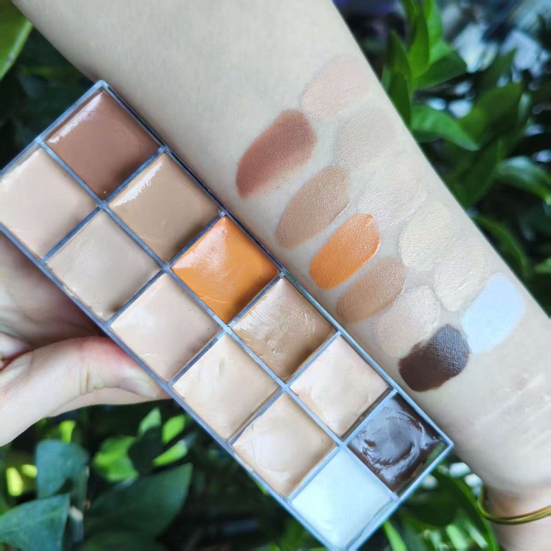 Concealer Palette Manufacturer - Customizable 12 Color Cream Concealer for Wholesale