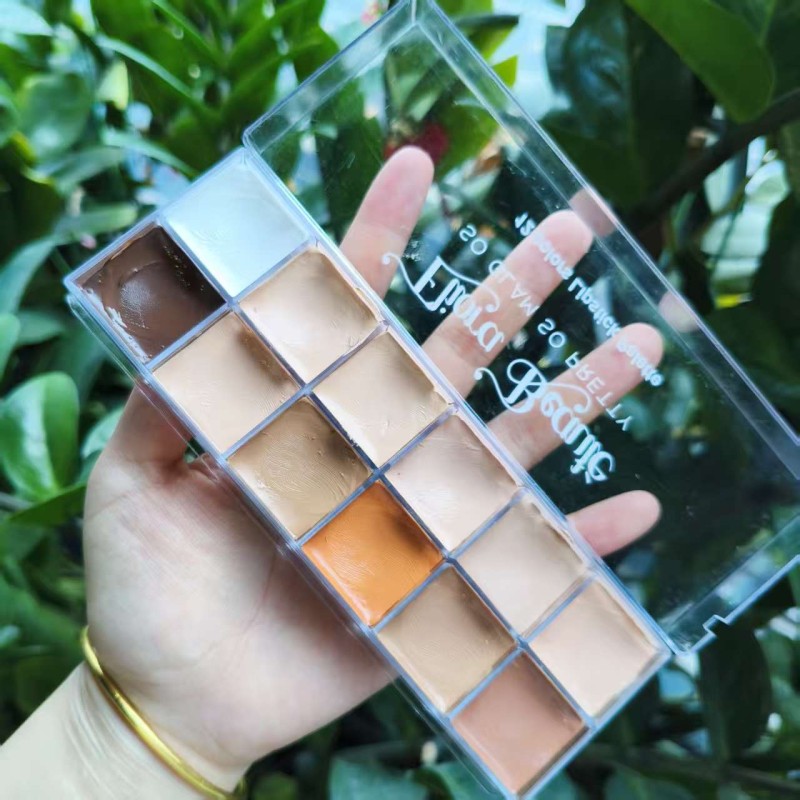 Concealer Palette Manufacturer - Customizable 12 Color Cream Concealer for Wholesale