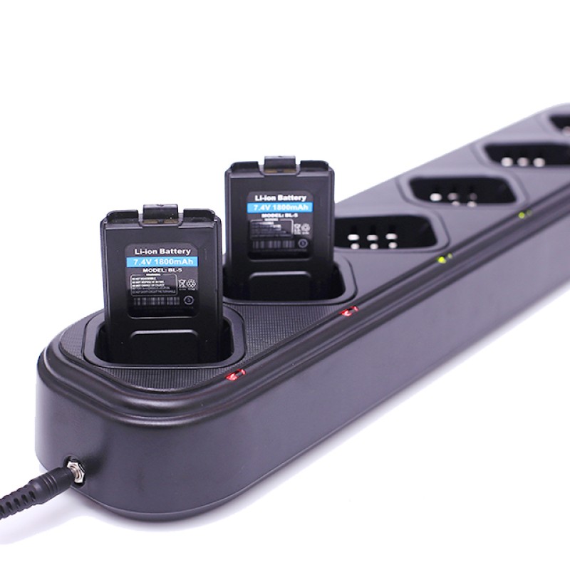 Charging Station Manufacturer - Six Way Gang Charger