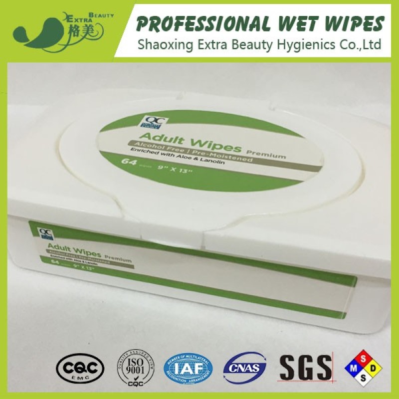 Flushable Wet Wipes Supplier - OEM Moisturizing Antibacterial Hot Sale