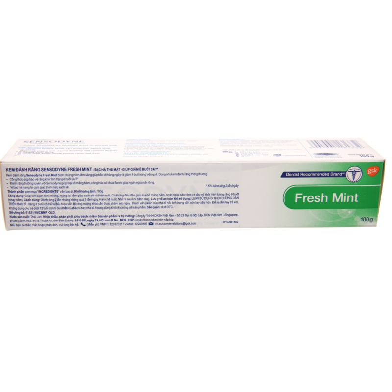 Toothpaste Supplier - Mint Flavor 100g Bulk Production