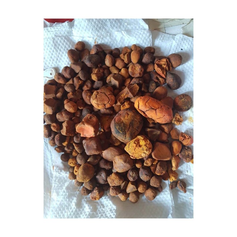 Cattle Gallstones Supplier - Quality Ox Cow Gallstones Available