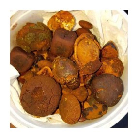 Cattle Gallstones Supplier - Quality Ox Cow Gallstones Available
