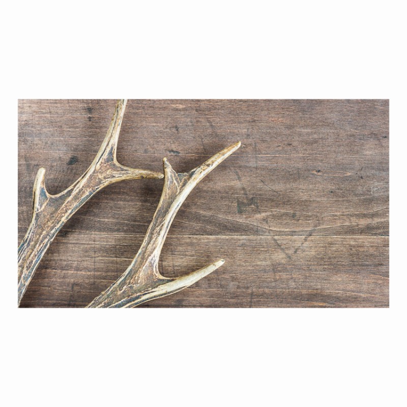 Red Deer Antlers Supplier - Natural Whole Antlers For Sale