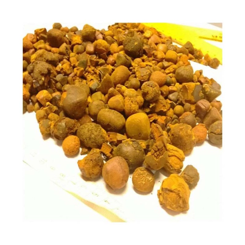 Cattle Gallstones Supplier - Quality Ox Cow Gallstones Available