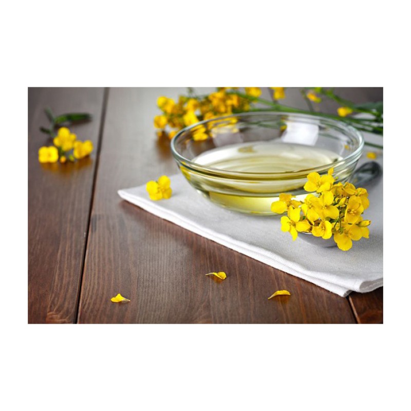 Canola Oil Manufacturer - Organic Cosmetic Grade Rapeseed Oil