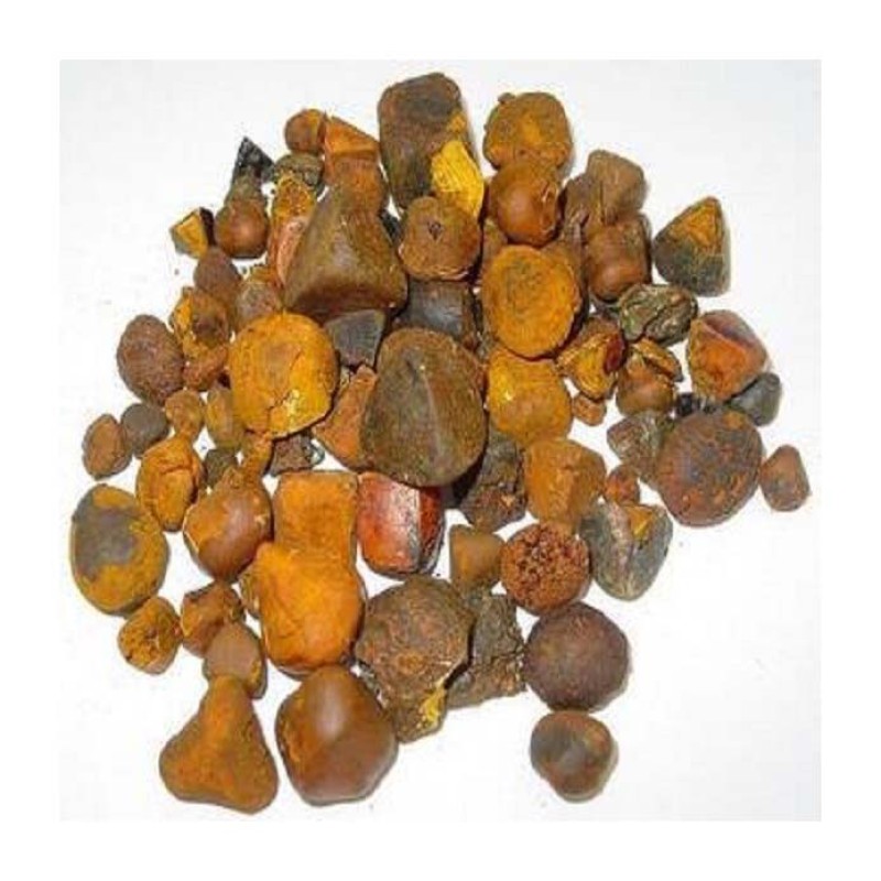 Cattle Gallstones Supplier - Quality Ox Cow Gallstones Available