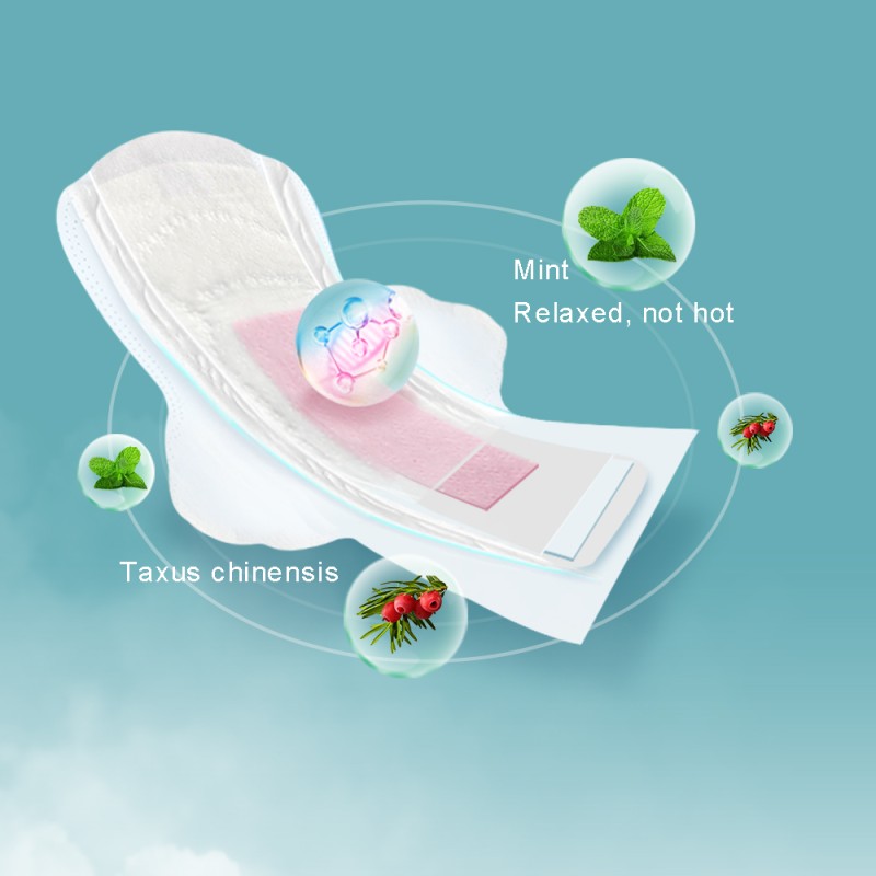 Sanitary Pads Manufacturer - OEM Brand Super Absorbent