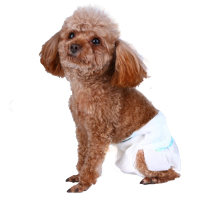 Pet Diaper Factory - Disposable Pull Up Pants