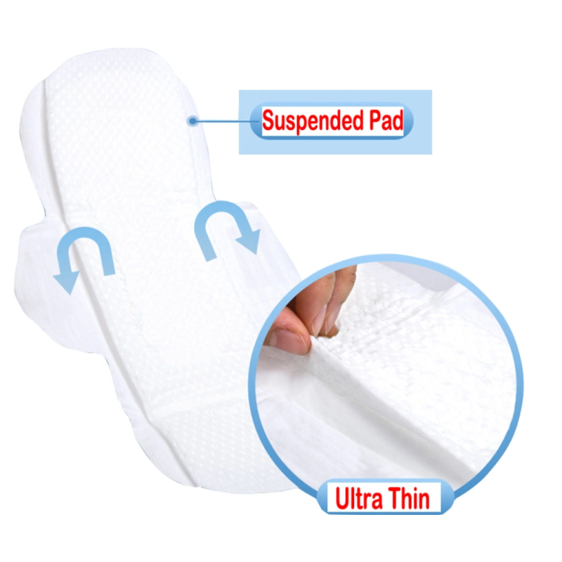 Sanitary Pad Factory - PLA Anion High-tech