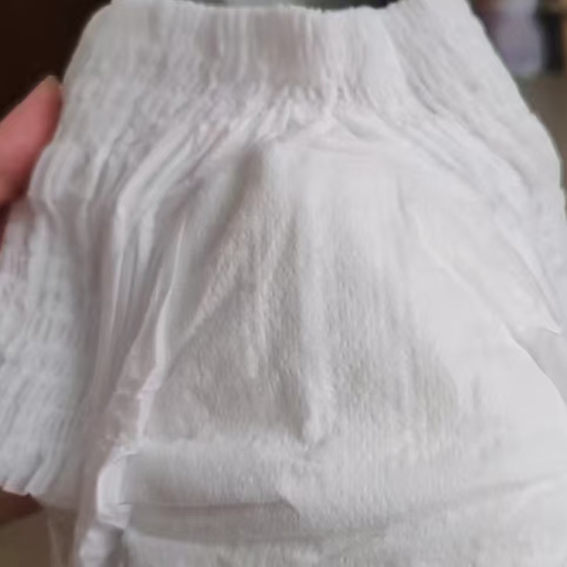 Dog Diaper Supplier - Pull Up Urine Control