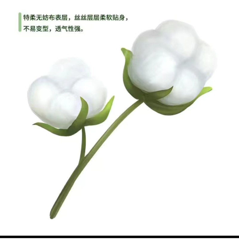 Adult Diaper Supplier - Disposable Postpartum Care