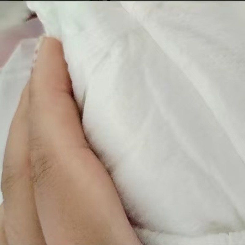 Dog Diaper Supplier - Pull Up Urine Control