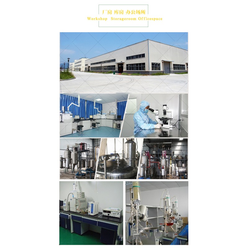 Best Price Healthcare Raw Material Oryzanol Fat-soluble Vitamins Rice Bran Extract CAS 11042-64-1 99% Gamma Oryzanol