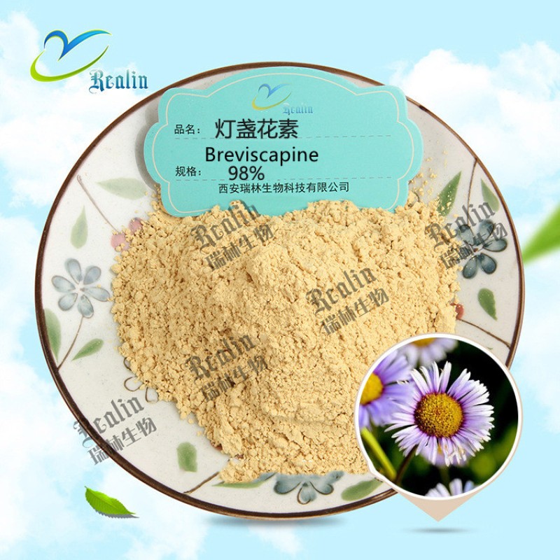Factory Supply Breviscapine 98% 100g/bag Breviscapine B CAS: 116122-36-2