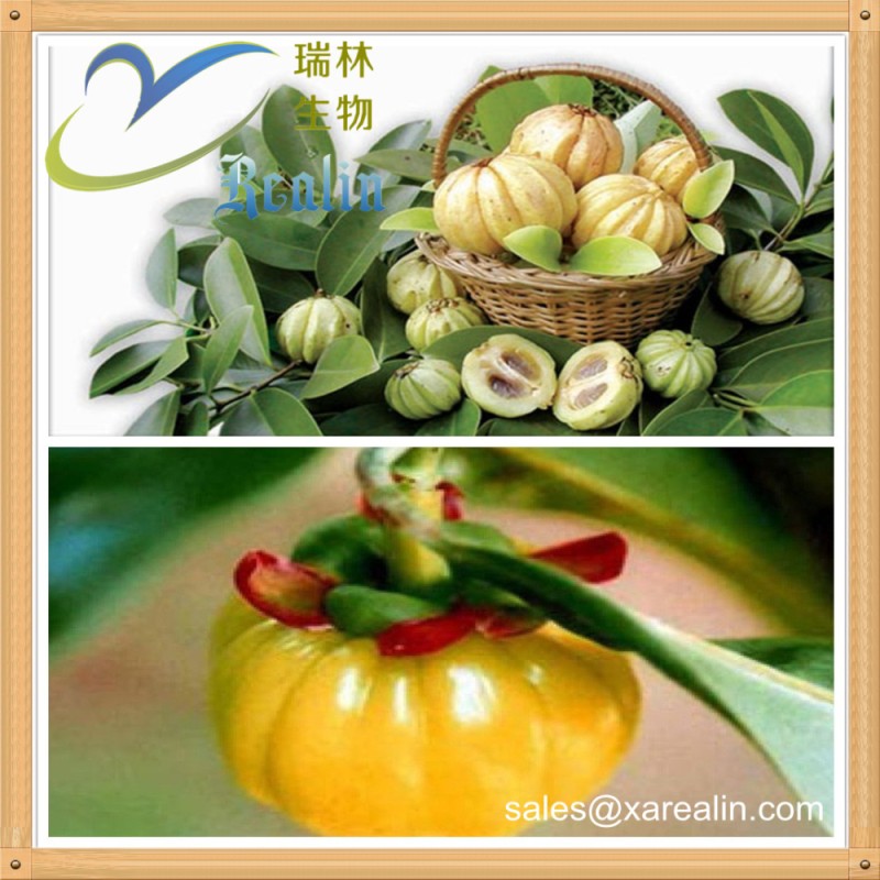 Free Sample Natural 98% Cambogia Hydroxycitric Acid Bulk Garcinia Cambogia Extract Powder