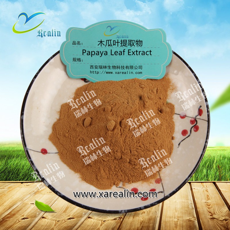 Papaya Leaf Extract Powder Green Papaya Powder Papaya Leaf Powder