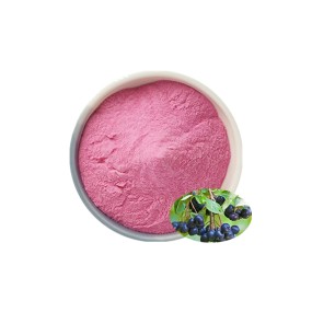 Natural Aronia Fruit Powder Spray Dried Aronia Chokeberry Powder