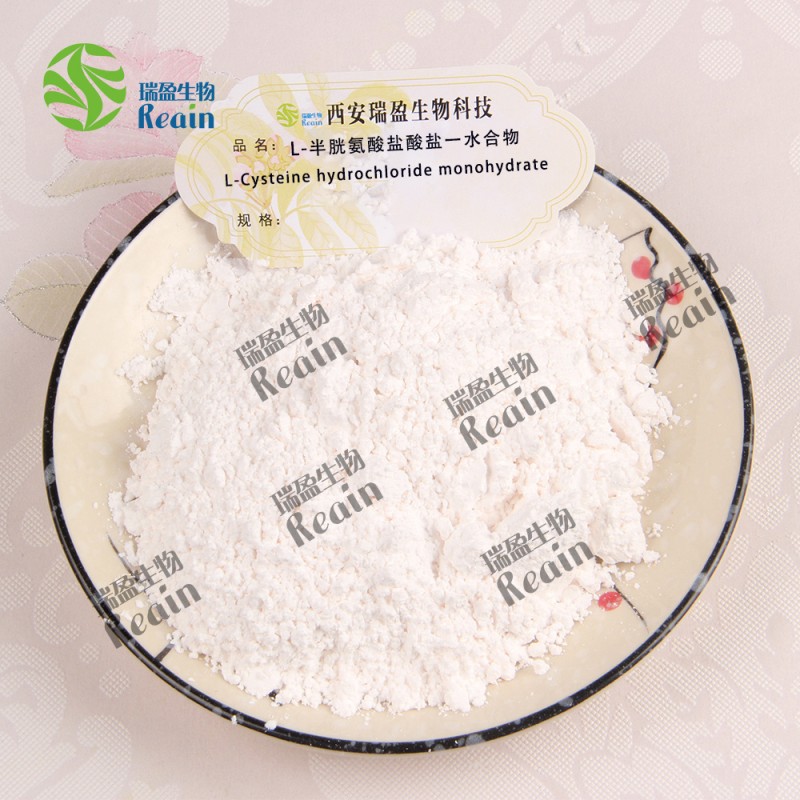 L-Cysteine Powder CAS Number 52-90-4 L Cysteine Powder