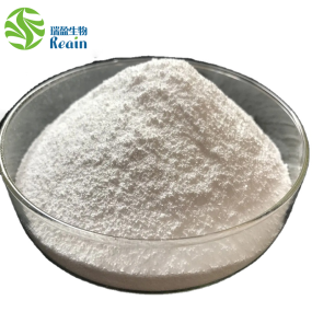 Food Grade Preservative Sodium Benzoate Powder CAS 532-32-1 99% Sodium Benzoate