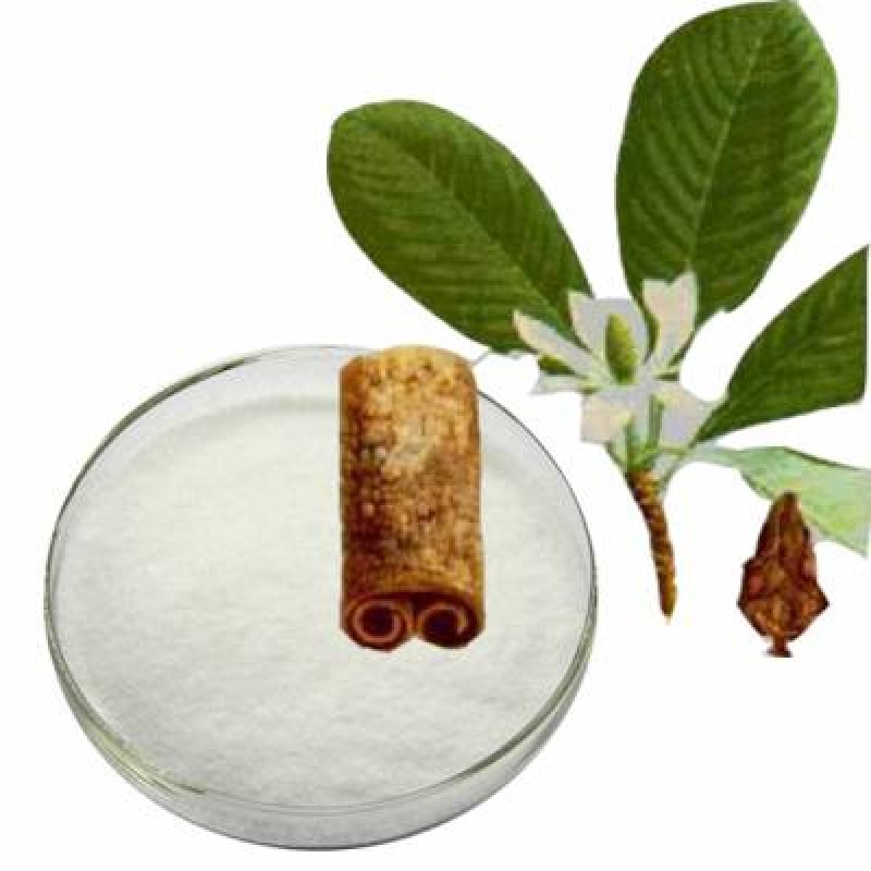 Houpoea Officinalis Extract Magnolol magnolia Bark Extract Supplement Honokiol Honokiol Compound CAS 35354-74-6 98% Honokiol