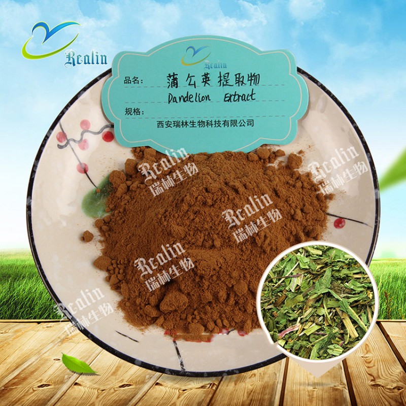 Taraxacum Extract Dandelion Root Extract Powder 10:1