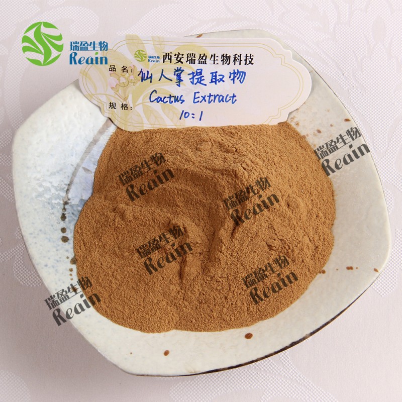 Cactus Extract Powder Opuntia Extract Powder Cactaceae Extract Powder