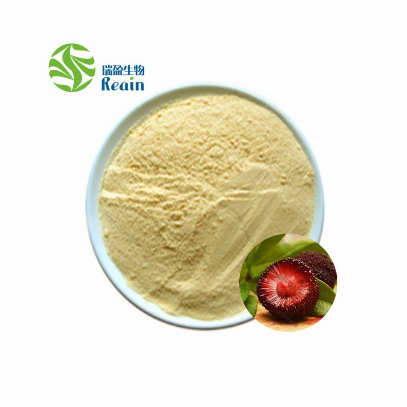 Myricetin Powder Bayberry Fruit Bark Extract 98% Myricetin