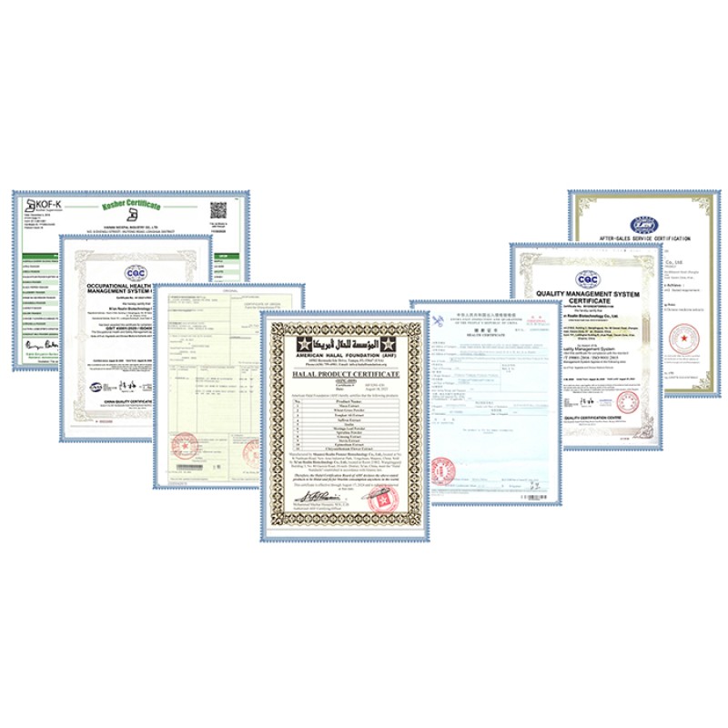 Natural Coconut Powder Juicing Coconut Meat Coconut Milk Powder