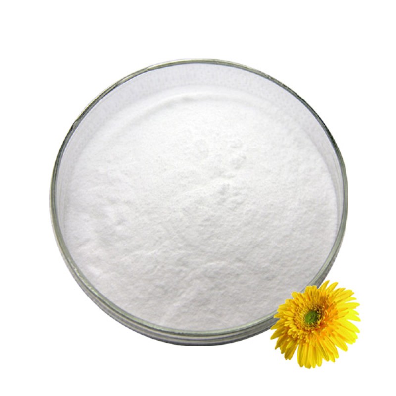 Sweetener Lifecare Supply Food Grade Cheese Powder for Food Additives