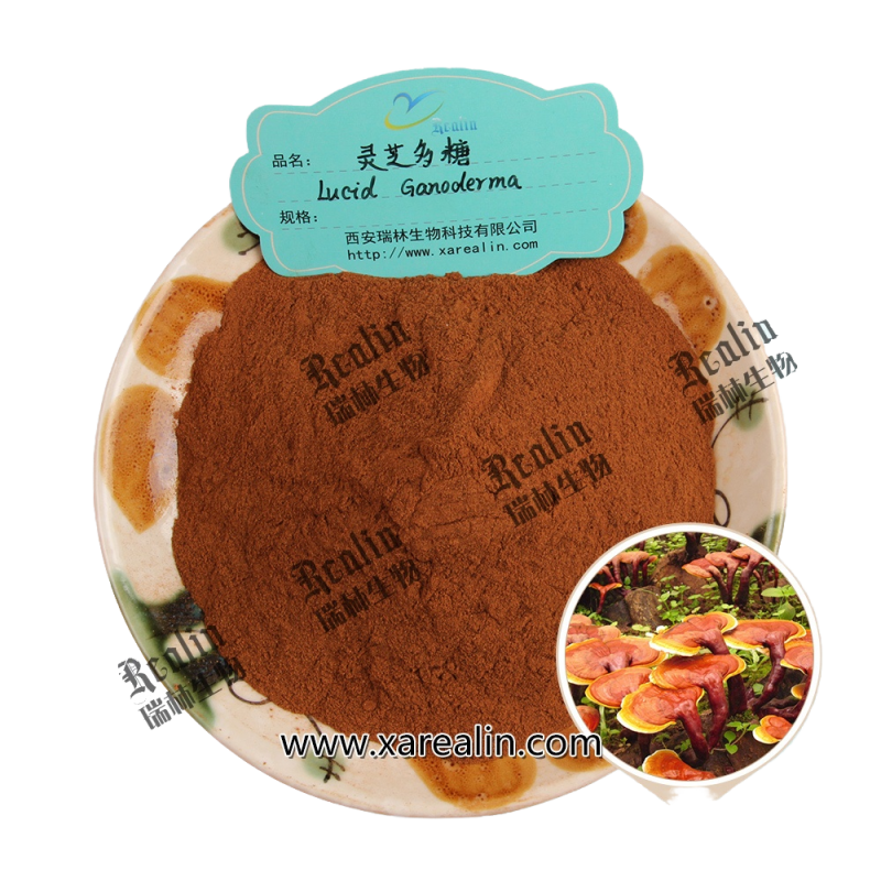 Supply Reishi Mushroom Extract/Ganoderma Lucidum Extract Powder 10%-30% Polysaccharide